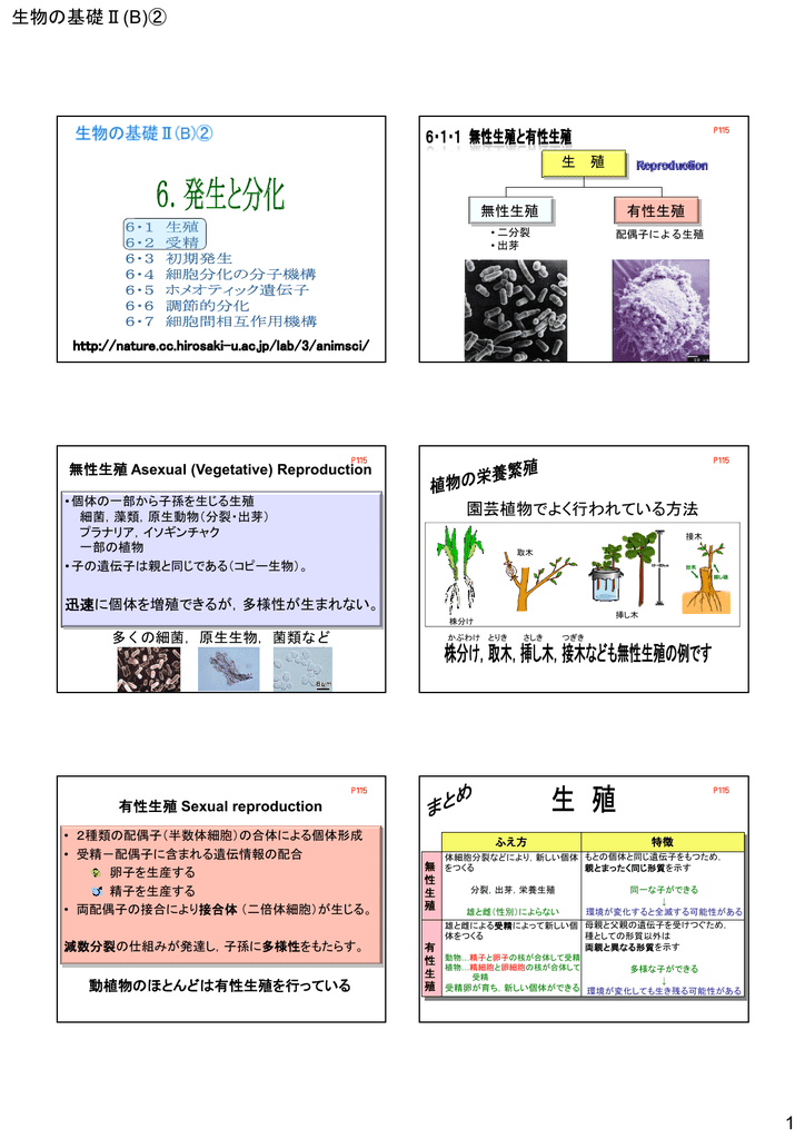 生物の基礎 B 1