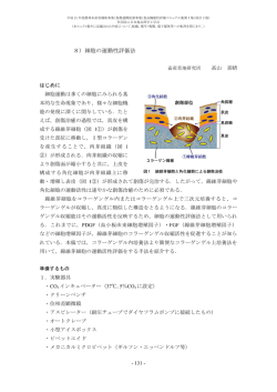 8）細胞の運動性評価法