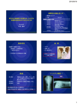 椎体奇形 症 例 経過 レントゲン検査-1
