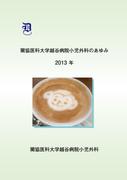 2013 年 - 獨協医科大学