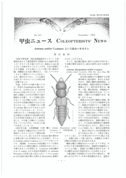 甲虫ニュース CoLEoPTERISTS` NEWS