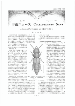 甲虫ニュース CoLEoPTERISTS` NEWS