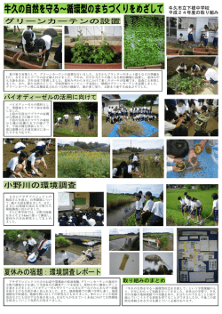 夏の暑さ対策として，グリーンカーテンの設置を行いました。5月から