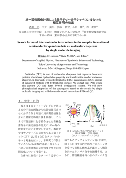 単一顕微画像計測による量子ドット-分子シャペロン複合体の 相互作用の