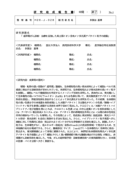 超早期がん診断・治療を目指した希土類イオン含有メソ多孔質アパタイト