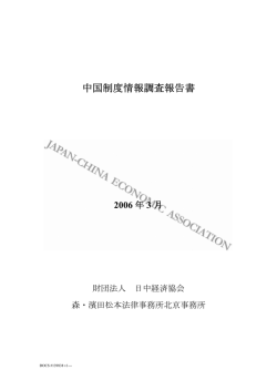 中国制度情報調査報告書