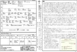 PowerPoint プレゼンテーション