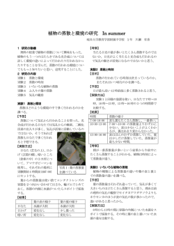 植物の蒸散と環境の研究 In summer