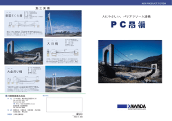大金吊り橋 大日橋 東雲さくら橋