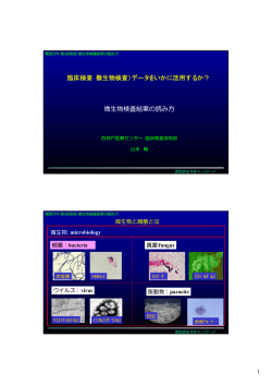 微生物検査結果の読み方 - 関西感染予防ネットワーク (KIPN)