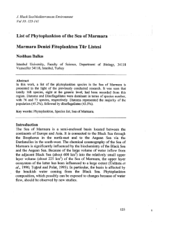 カヌー ゴムボート パドル カヤック ドッペルギャンガー [フィン・リーシュ付き
