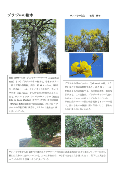 Mouri, Ritsuko in Brazil (2012年10月)