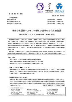 枝分かれ調節ホルモンの新しい分子のかたちを発見
