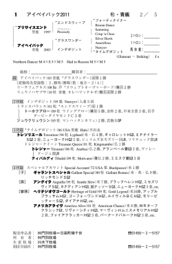 2勝 - 馬市ドットコム