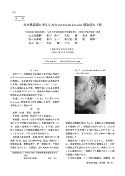 犬が感染源と考えられた Bartonella henselae 感染症の 1 例