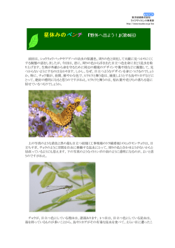 pdfバージョンはこちら