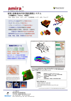 (Microsoft PowerPoint - AmiraICPPB_20110530