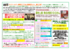 ぐりーんてぃー通信 第25号