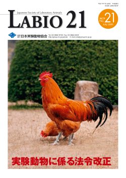 LABIO21 No.21（PDF）