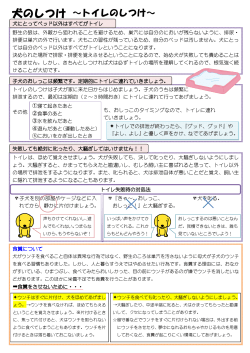 犬のトイレ、留守番
