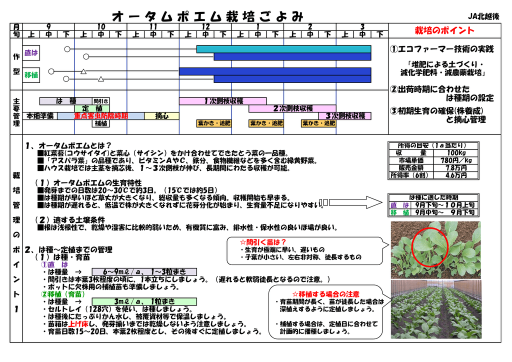 オータムポエム