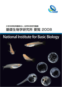 細胞増殖研究部門 - 基礎生物学研究所