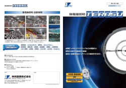 無電極照明 - 神洲通商株式会社
