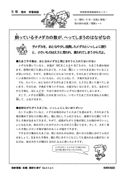 飼っている子メダカの数が