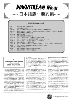 DOWNSTREAM No.31（要約版） PDF:60KB