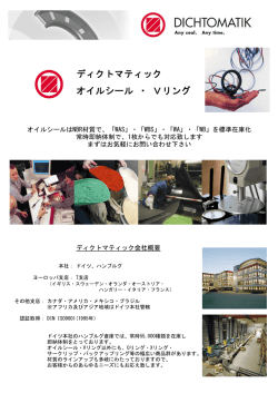 ディクトマティック オイルシール ・ Vリング