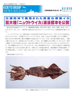 印刷用 報道発表資料はこちら