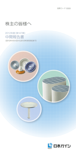 2012年度中間報告書 （PDF:713KB）