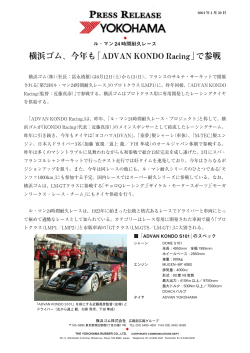 PDF版（229KB）