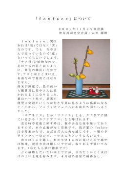 fox faceについて