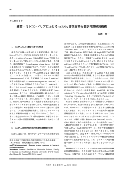 細菌・ミトコンドリアにおける tmRNA 非依存的な翻訳停滞解消機構