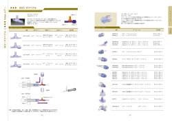 DCV / ス ワ バ ブ ル V alue ル ア － DCV / スワバブル