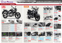 GSR250専用カスタムパーツはこちら