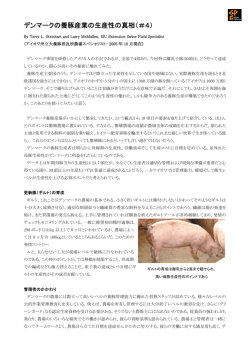 デンマークの養豚産業の生産性の真相（＃4）