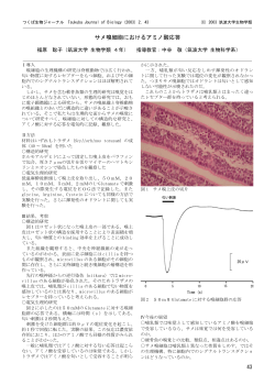 サメ嗅細胞におけるアミノ酸応答 - 生物学類