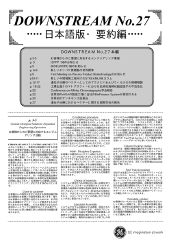 DOWNSTREAM No.27（要約版） PDF:132KB