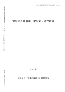 4.6M - 公益財団法人京都市埋蔵文化財研究所