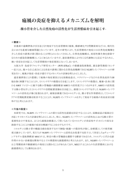＜概要＞ 栄養素の過剰摂取が引き金となり発症する生活習慣病（痛風