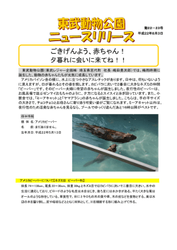 ごきげんよう、赤ちゃん！