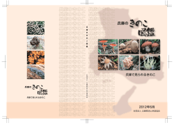 兵庫のきのこ図鑑