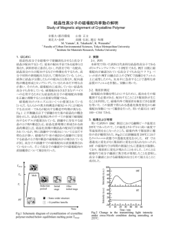 結晶性高分子の磁場配向挙動の解明 - Tohoku University
