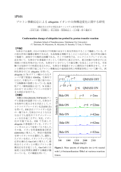 1P101 プロトン移動反応による ubiquitin イオンの立体構造