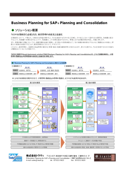 Business Planning for SAP® Planning and