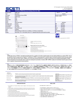 GPR65 は、G タンパク質共役型受容体 (GPCR) の一つで、T リンパ球の