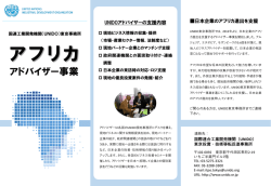 アフリカアドバイザー事業リーフレット - 国際連合工業開発機関（UNIDO）