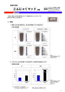 こんにゃくマッド泥濃